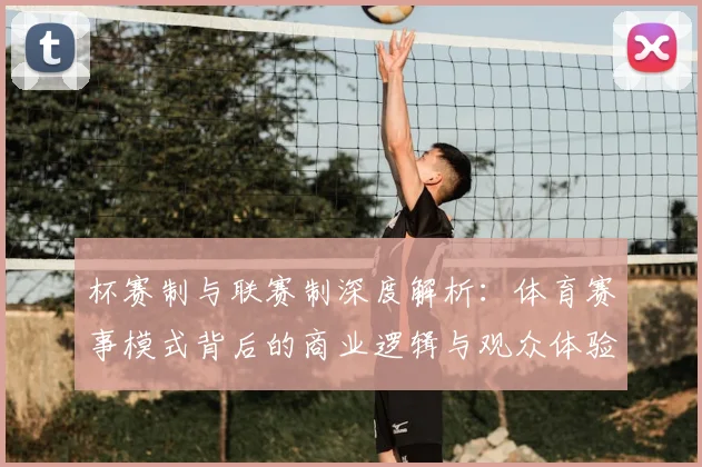 杯赛制与联赛制深度解析:体育赛事模式背后的商业逻辑与观众体验
