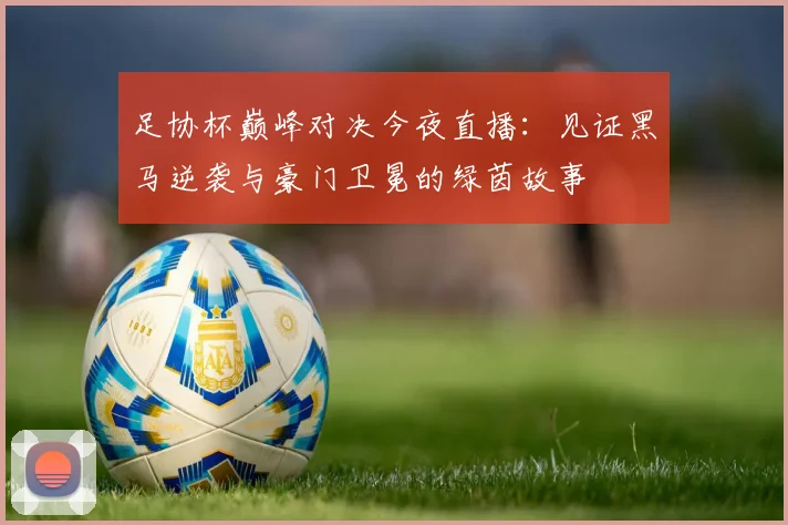 足协杯巅峰对决今夜直播:见证黑马逆袭与豪门卫冕的绿茵故事